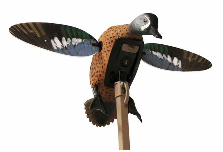Mojo - Blue Wing Teal Decoy - Elite W/3p - HW2475-3P