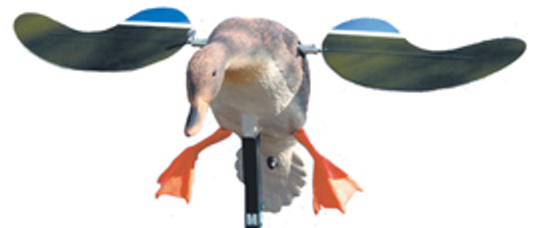 Mojo - Baby Drake Decoy - 6v - HW4401 Mojo - Baby Drake Decoy - 6v - HW4401