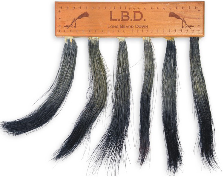 Pittman - Turkey Beard Display - Holds Turkey Beards - PP701