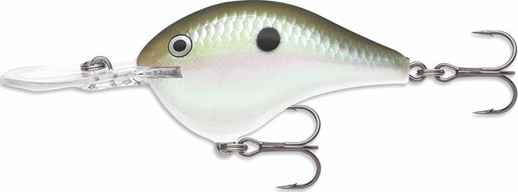 Rapala - Dt Crankbait 8ft - 2in 3/8oz Green Gizzard - DT08GGSD