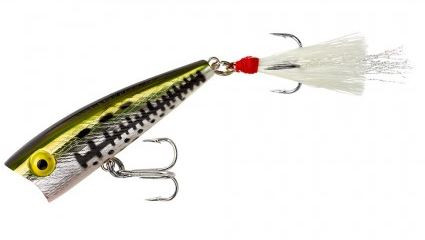 Rebel Lures - Pop R Topwater Bait - 2.5in 1/4oz Ole Bass - P6017
