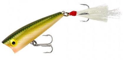 Rebel Lures - Pop R Topwater Bait - 2.5in 1/4oz Tenn Shad - P6048