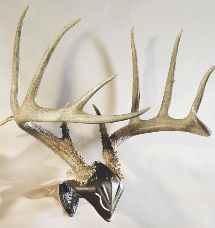 Skull Hooker - Combo Hooker Wall Mount - Bone Bracket/skull Cap -