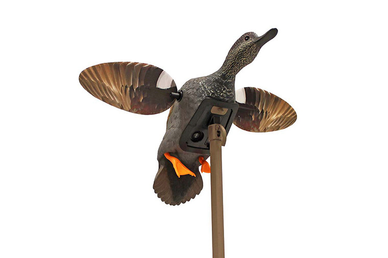 Mojo - Gadwall Decoy - Elite Series - HW2473-3P