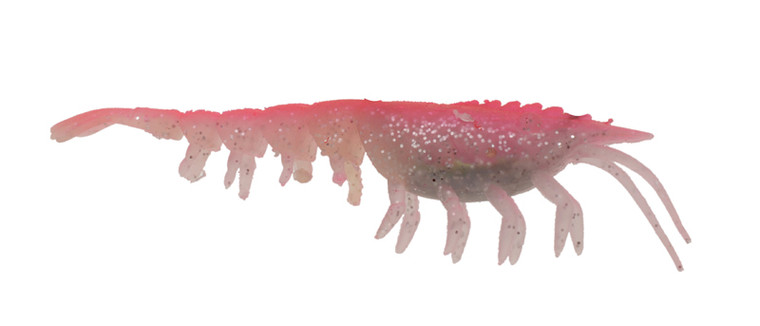 A Band Of Anglers - Floating Natural Shrimp - 4in 3pk 1hk-pink/clr/slv - HYLSNS4FLPCLS