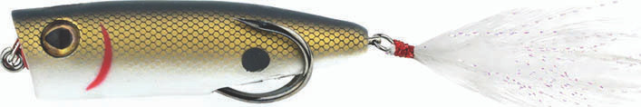 Snagproof - Zoo Pop Topwater Bait - 2.75in 3/8oz Tenn Shad -