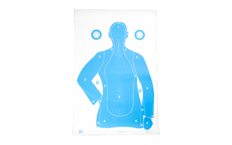 Action Target B-21E Qualification Target  Blue and White  23" x 35"  100 Per Box F-B21EANT-AV2-100