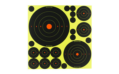 Birchwood Casey Shoot-N-C Target  Deluxe Variety Kit  40-1" Pasters  24-2"  8-3"  4-6"  4-8" Bullseye Targets  with Target Stand BC-34208