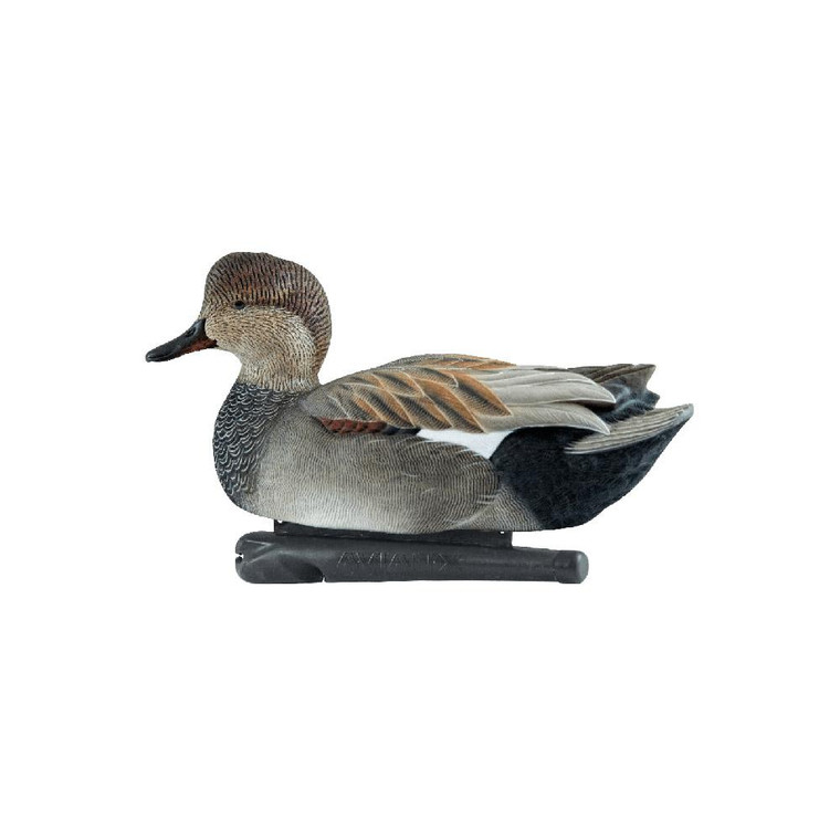 Avian-X Top Flight Decoys Gadwall 6/ct - AVX-AVX8085 Avian-X Top Flight Decoys Gadwall 6/ct - AVX-AVX8085