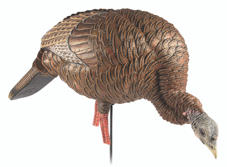 Avian X AVXAVX8107 HDR Feeder Hen Turkey Species MultiColor - AVXAVX8107