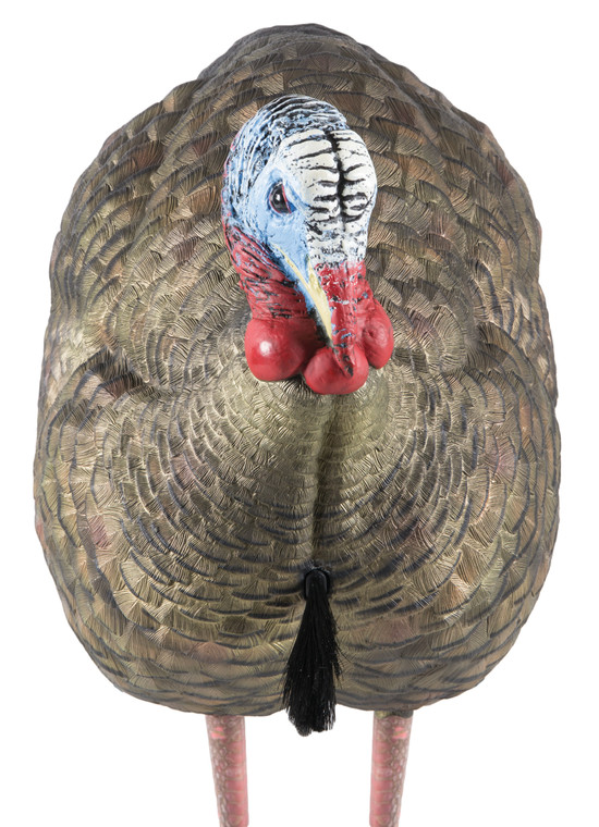 Avian X AVXAVX8012 LCD HalfStrut Jake Turkey Species Multi Color DuraRubber - AVXAVX8012