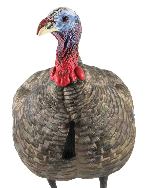 Avian X AVXAVX8003 LCD QuarterStrut Jake Turkey Species Multi Color DuraRubber - AVXAVX8003