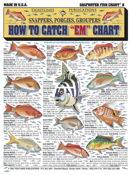 Tightlines 00008 How To Catch Em - Chart #6 Snapper/Porgy/Grouper - 8