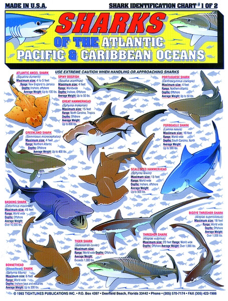 Tightlines 00022 Shark ID Chart #1 -  - 22
