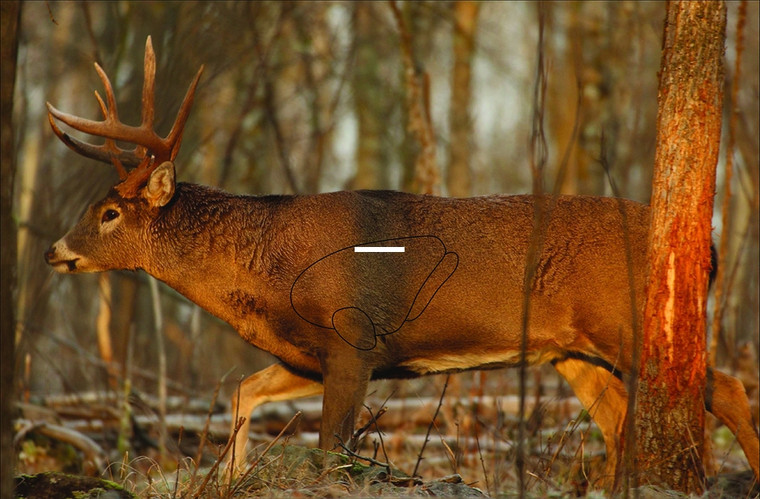 Birchwood Casey BC-37481 Eze-Scorer - Deer 23x25 Folded Target 2/PK - BC-37481