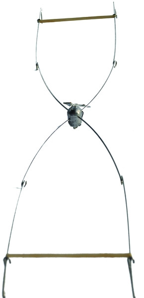 Blue Water Candy 60158 4-Arm - Umbrella Frame 20" - 60158
