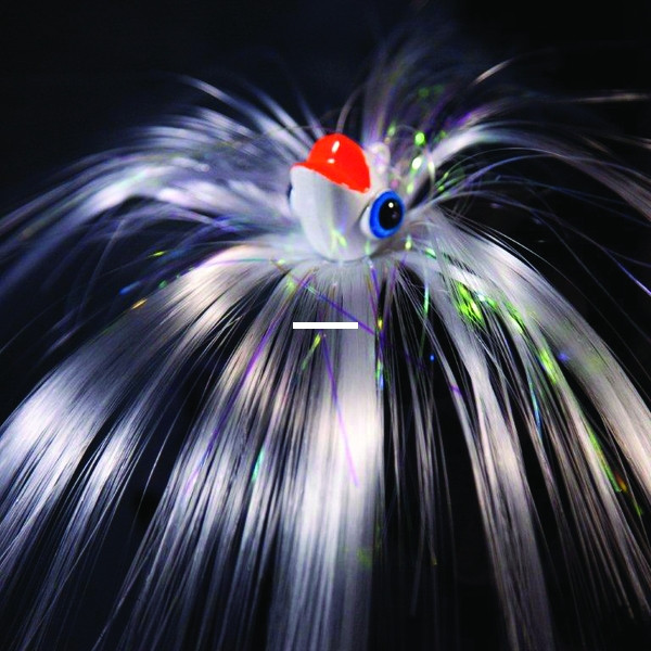 Blue Water Candy 60003 Chomper - Parachute Lure, 4 oz, White - 60003