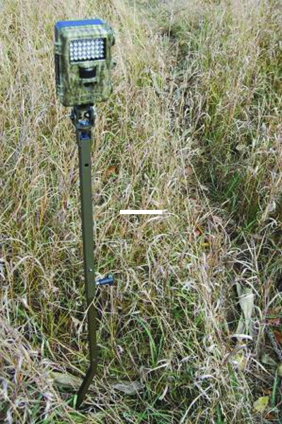 HME HME-TCH-G Trail Camera Holder - Ground Mount - HME-TCH-G