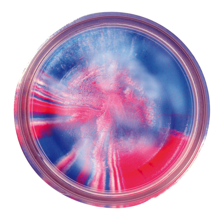 Powerbait Glitter Trout Bait - Captain America