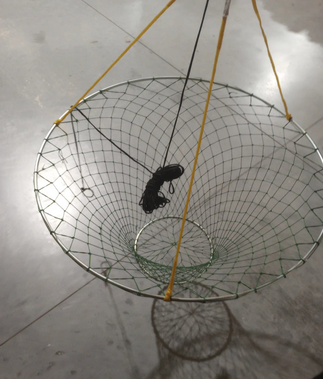 Dolphin - 32" Bridge Net