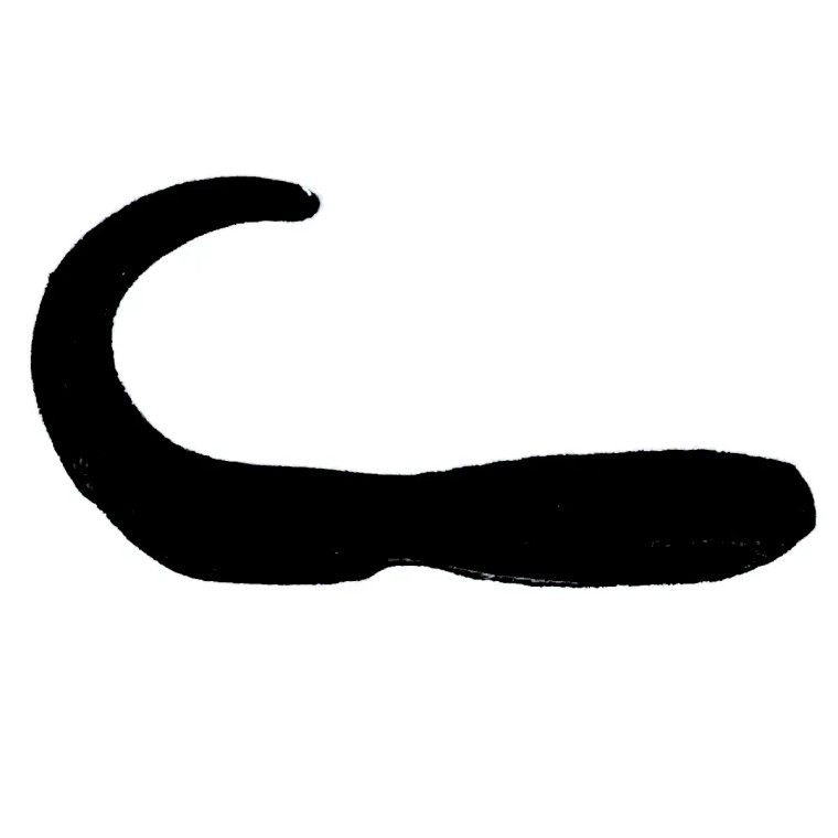 Head Hunter - 3" Grub 100 Count - 08-Black Head Hunter - 3" Grub 100 Count - 08-Black