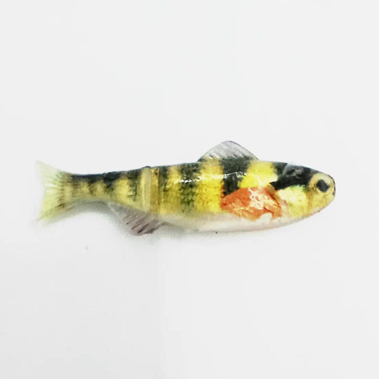 Head Hunter - 1/16 Keystone Minnow 6pc - Natural Perch Head Hunter - 1/16 Keystone Minnow 6pc - Natural Perch