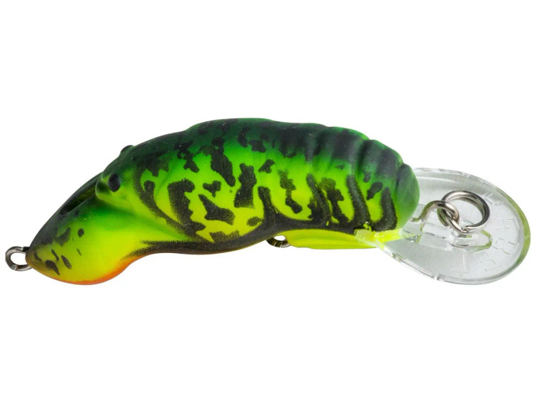 Rebel Middle Wee Craw - Tiger Craw