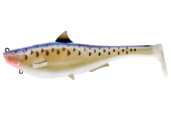 Spro Megalojohn 6" - Cell Mate