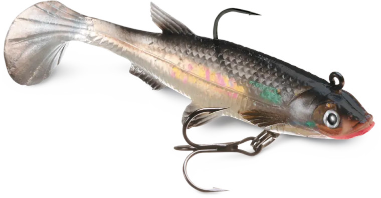 Storm Wildeye Live 2" Minnow 3pk Storm Wildeye Live 2" Minnow 3pk