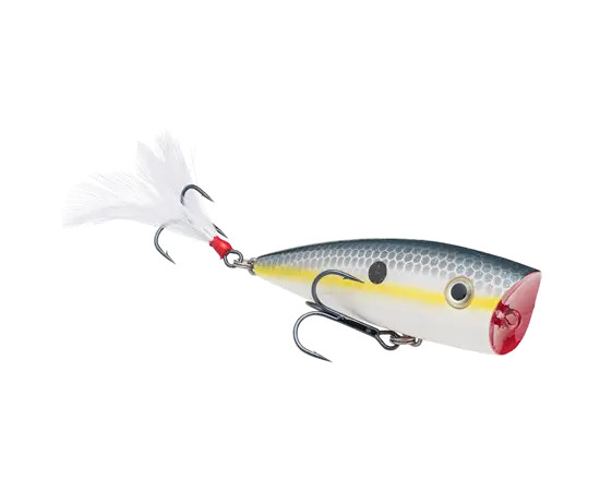 Strike King KVD Splash - Sexy Shad