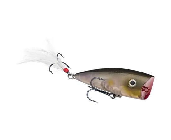 Strike King KVD Splash - Clearwater Minnow