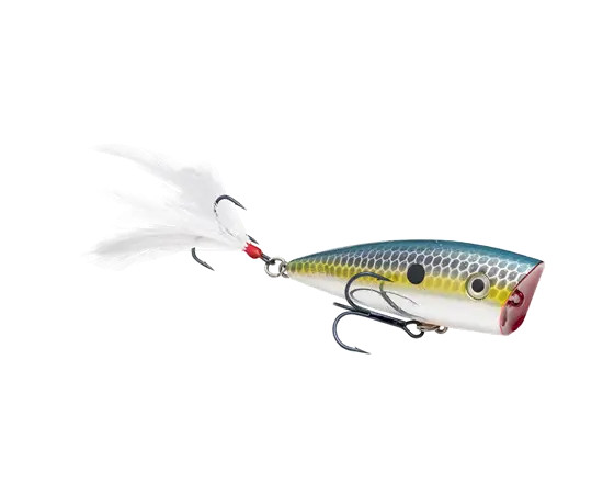 Strike King KVD Splash Jr - Chrome Sexy Shad