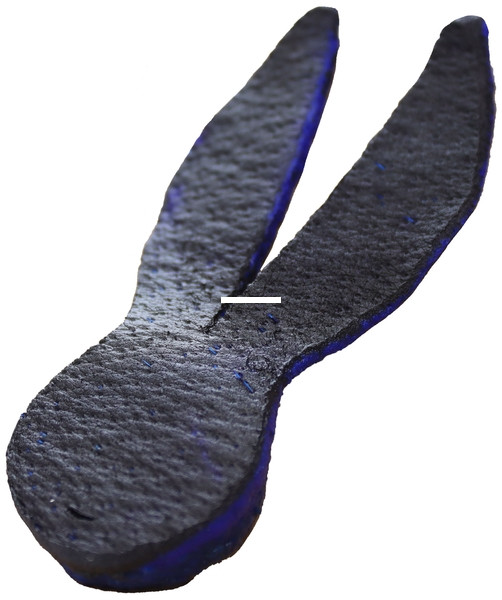 Uncle Josh Big Daddy Frog 2 per Jar - Black/Blue