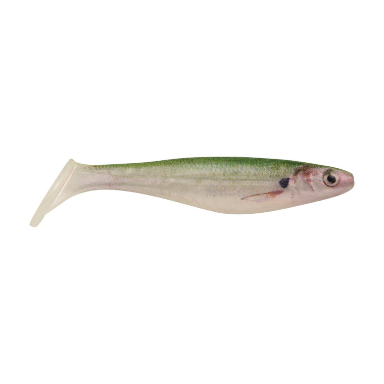 Berkley PB The Champ Swimmer - 3'' HD Tennessee Shad 8pk