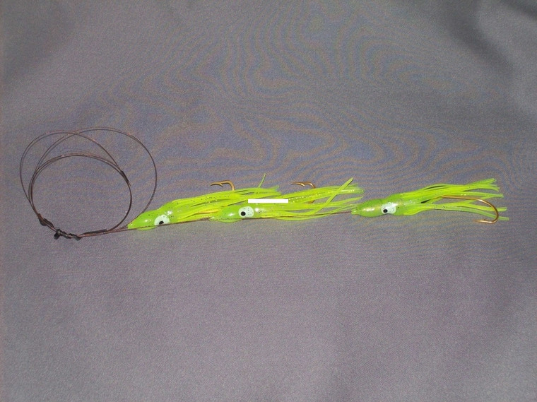 Blue Water Candy - Spanish DaisyChain - 3'' Chartreuse
