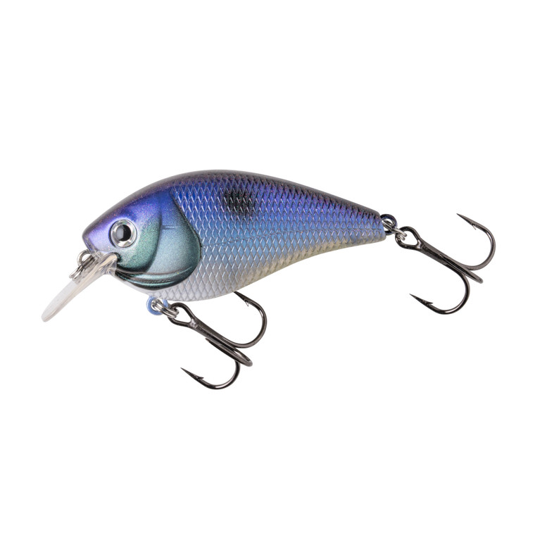 Booyah XCS - 2.5'' Black Shad