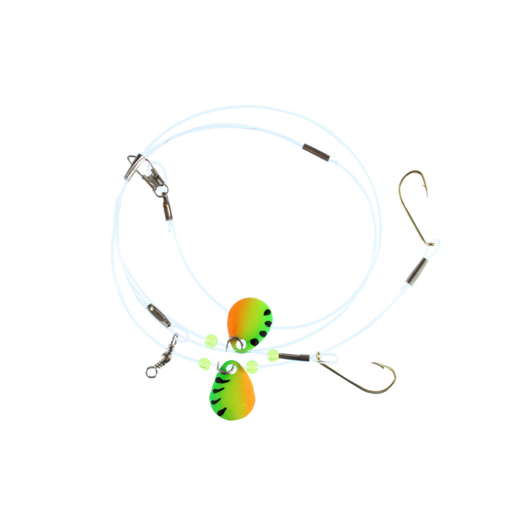 Catchmore Perch Rig - Firetiger Sz 6