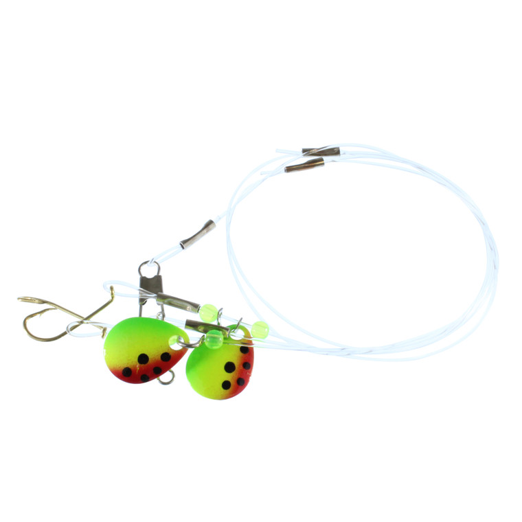 Catchmore Perch Rig - Watermelon Sz 6