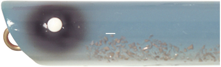 Creek Chub Striper Strike - 4.25'' Blue Flash