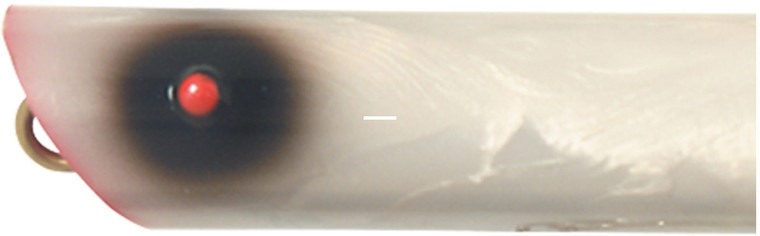 Creek Chub Striper Strike - 4.25'' Red Eye