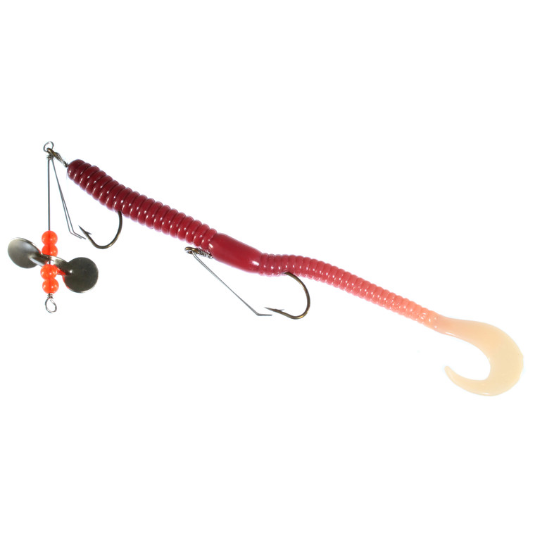 Creme Curl - Rigged - 6'' Live 1pk