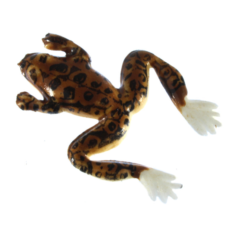 Creme Livin' Frog - 1.5'' Brown 1pk