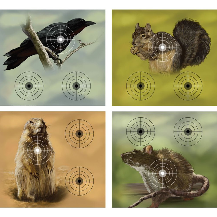 Daisy Crosman Targets - Varmint 20pk