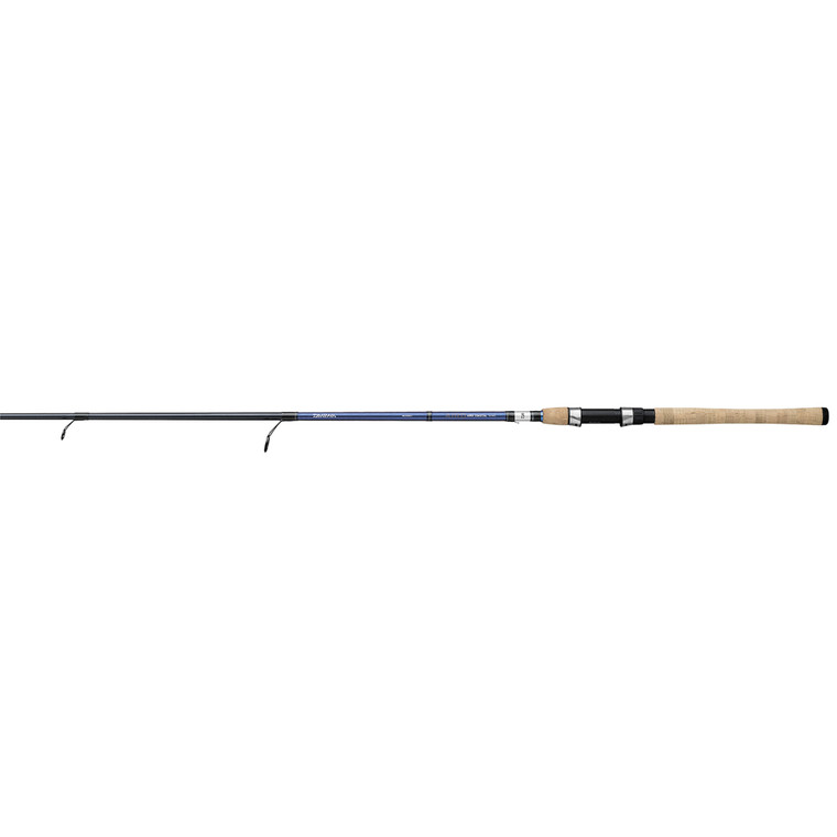 Daiwa Rod Aird Coastal Insh - S 6' 6'' 1pc M XF