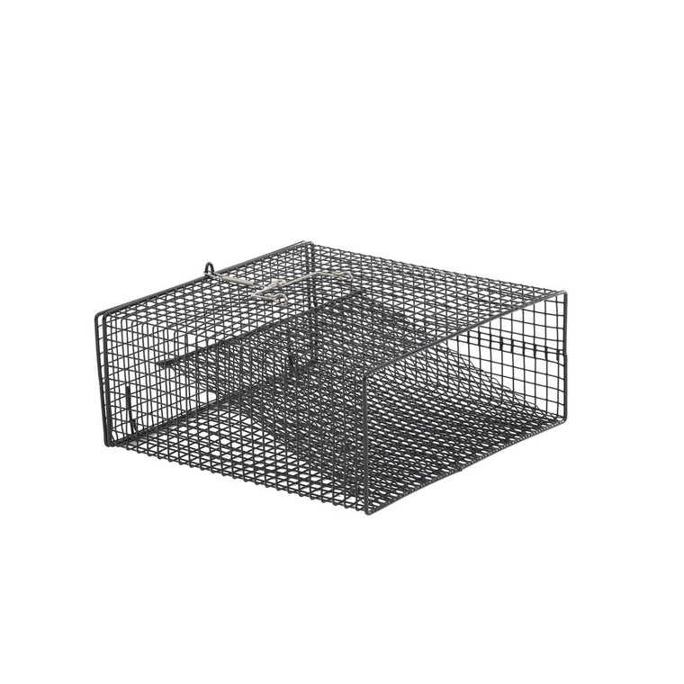Frabill Flat Bottom Cat Trap - Black