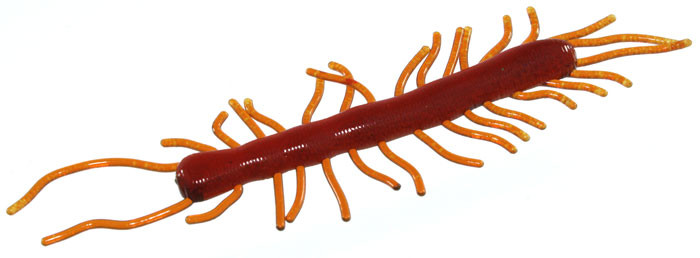 FYAO Devil Bug - 3'' Motor Oil 10pk