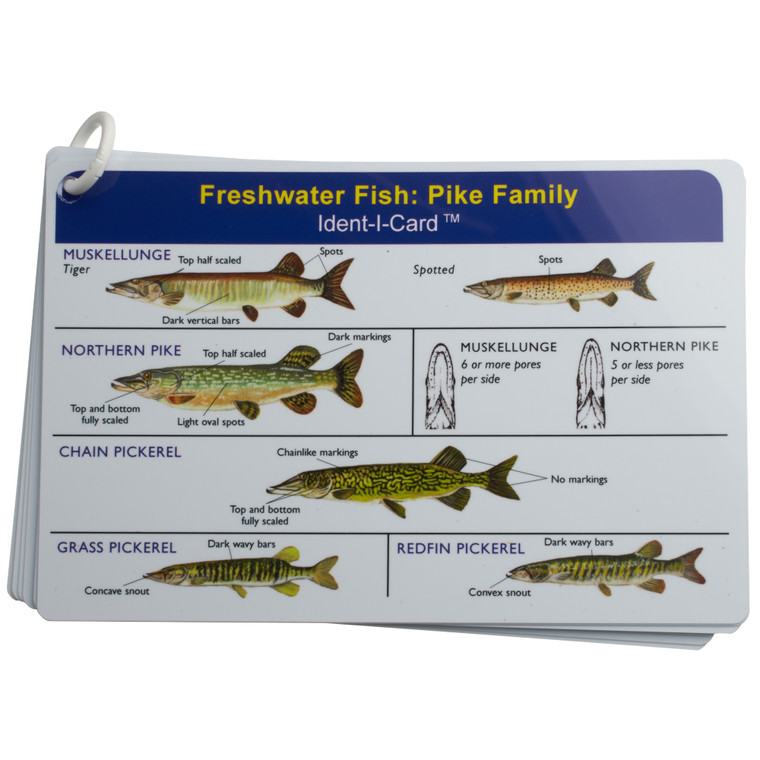 Ident-I-Card - 9 Card Set