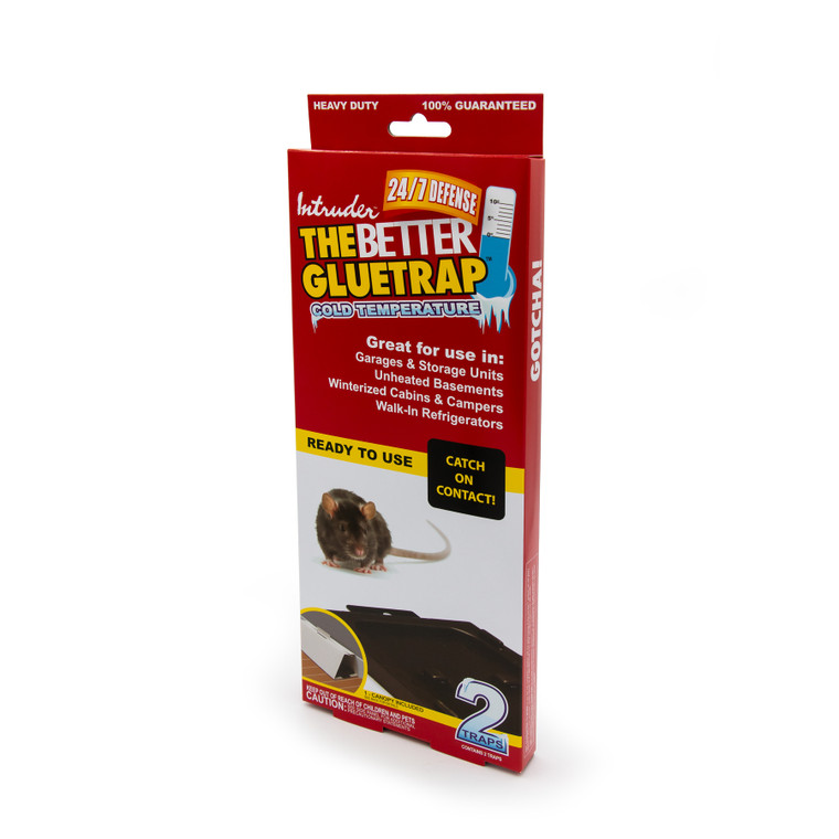 Intruder Gluetrap - Large 2pk