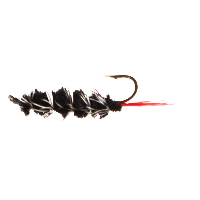 Jackson Cardinal - Wooly Worm #10 Black 2pk