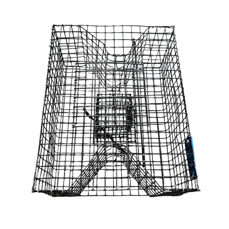 Joyfish Pinfish Trap - Small 18''x14''x8'' Black